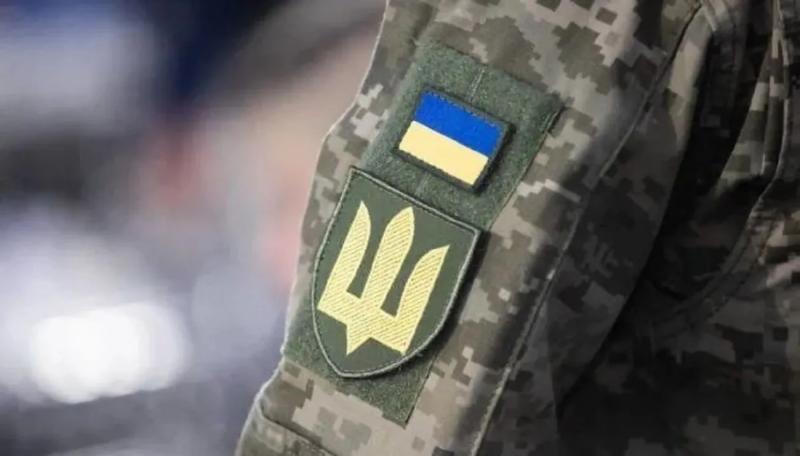 Социальная защита срочников: что предусматривает предложенный правительством законопроект