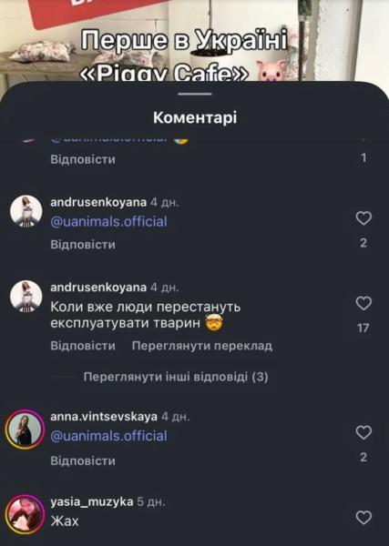 Зоозащитники заявляют об "эксплуатации" поросят в киевской кофейне: что говорят владельцы и полиция