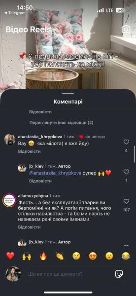 Зоозащитники заявляют об "эксплуатации" поросят в киевской кофейне: что говорят владельцы и полиция
