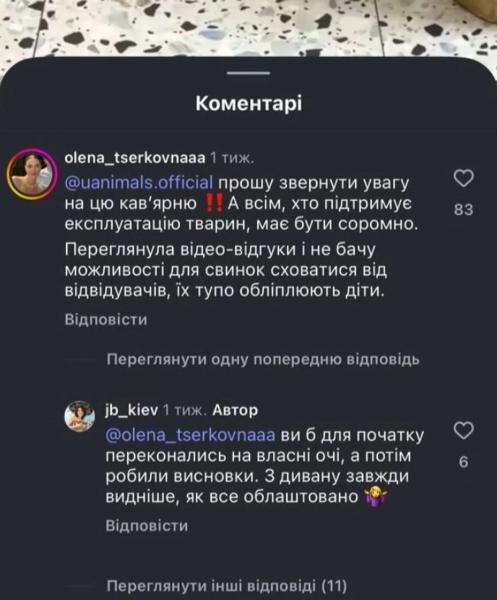 Зоозащитники заявляют об "эксплуатации" поросят в киевской кофейне: что говорят владельцы и полиция