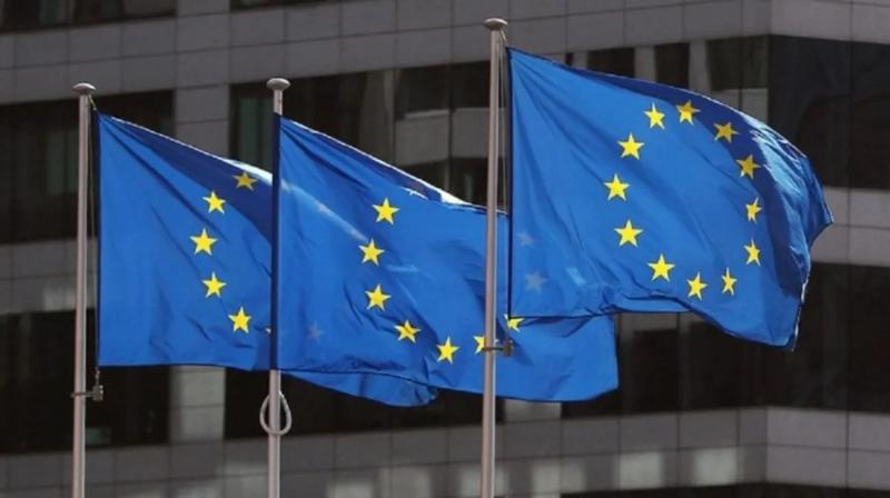 Европарламент одобрил запрет калечения животных и чипирования кошек и собак