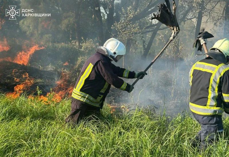 В Харьковской области спасатели спасли птенца во время тушения пожара