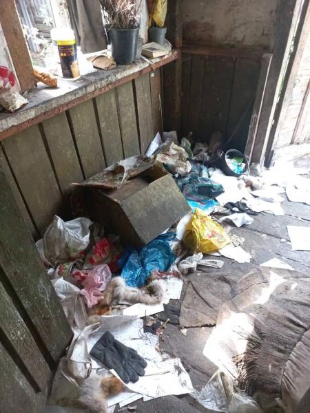 В Харьковской области женщина держала в доме девять собак, одну из них на полгода закрыла в погребе