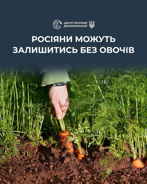 Агросектор РФ скоро рухнет: санкции против Нидерландов обернутся ударом по россиянам – ЦПД