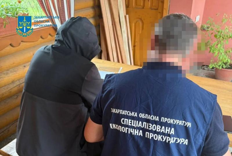 Нанес ущерб государству на 55,8 млн гривен: должностное лицо "Лесов Украины" получило подозрение за вырубку деревьев в Карпатах