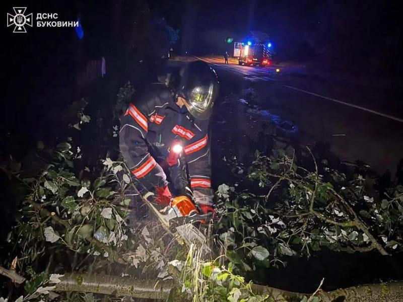 Непогода на Буковине оставила без света более 26 тыс. домов, повредила два лицея