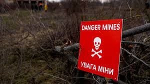 Италия может отправить военных саперов в Украину, но при одном условии