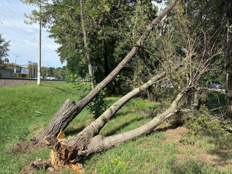Ливень в Киеве 6 августа: где было перекрыто движение транспорта, фото и видео