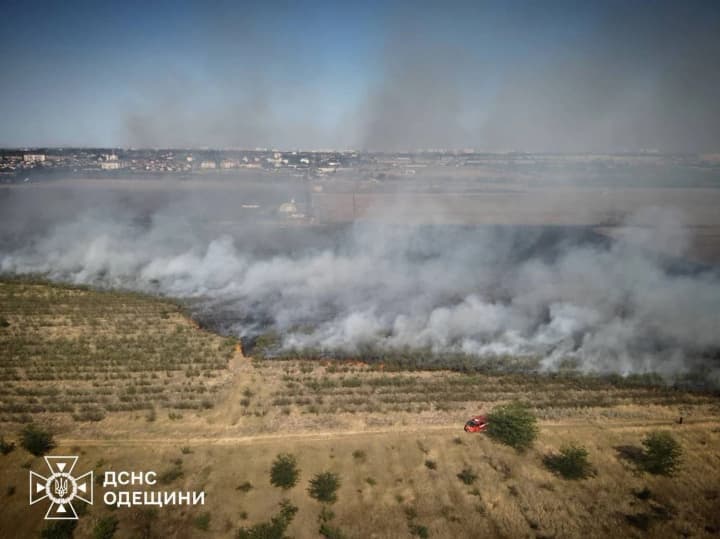 Масштабный пожар сухой растительности в Одесской области охватил около 25 гектаров