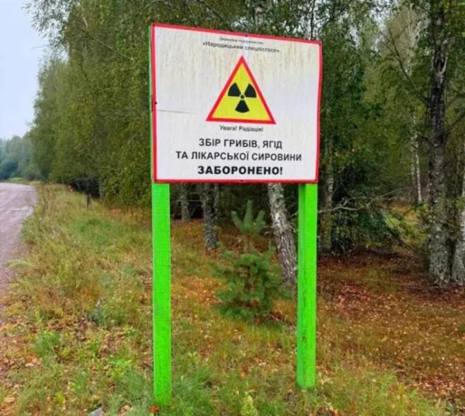 Подсолнухи с радиацией: на Житомирщине раскрыли схему торговли с "чернобыльских" земель