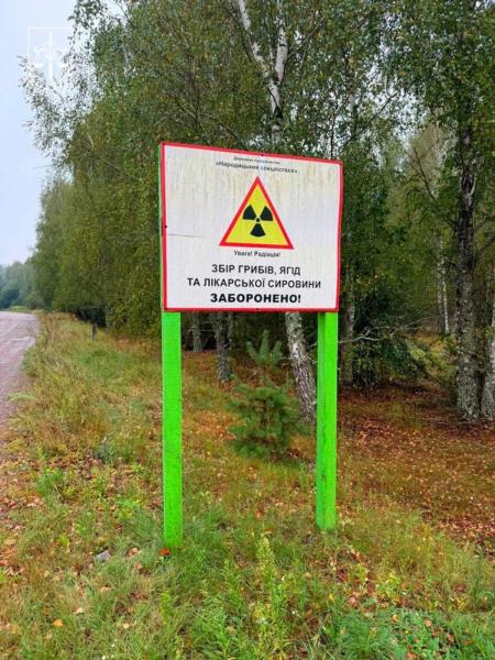 Подсолнухи с радиацией: на Житомирщине раскрыли схему торговли с "чернобыльских" земель