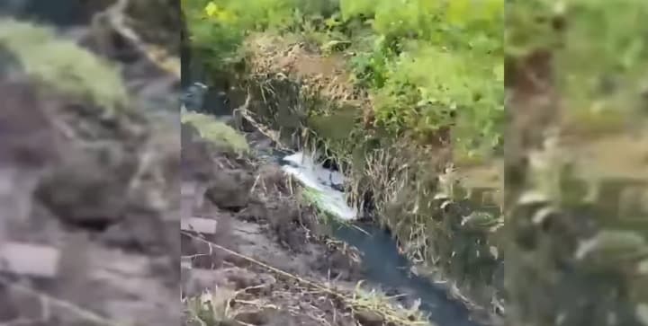 В Хмельницком в реке произошел массовый мор рыбы