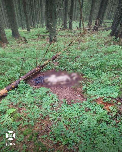 В Карпатах пограничники обнаружили два человеческих скелета