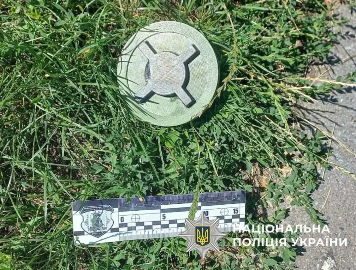 В Святошинском районе Киева, на детской площадке нашли муляж мины