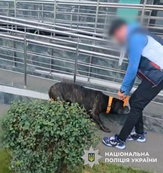 Мужчина избивал собаку на улице в Киеве: ему грозит штраф и изъятие животного