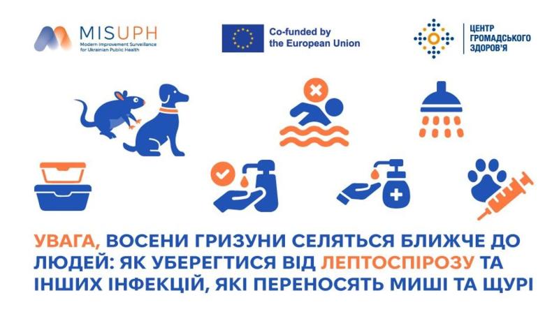 Осеннее нашествие грызунов: как избежать смертельной инфекции