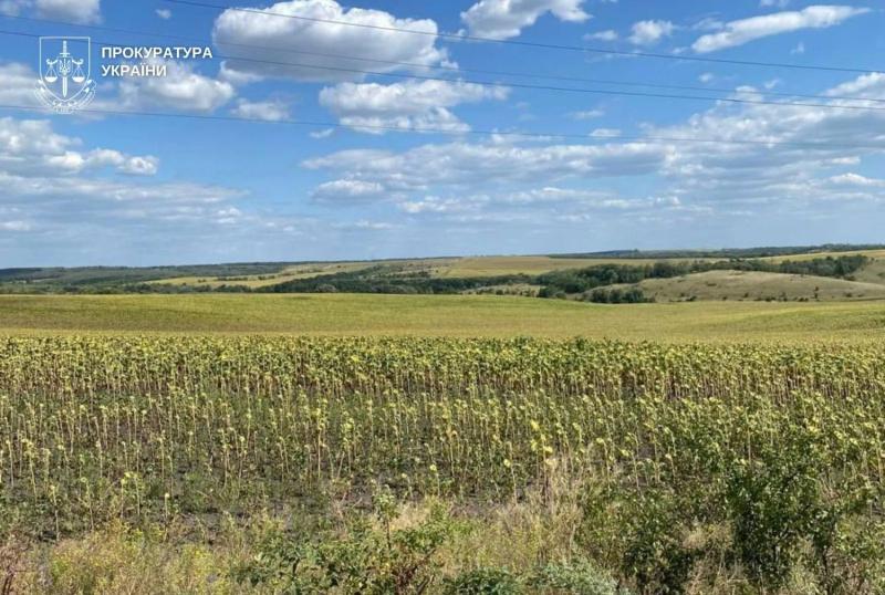 Прокуратура вернула общинам Днепропетровщины 700 га земли на 27 млн грн: детали