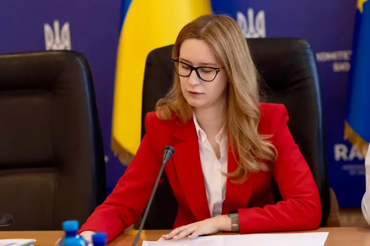 Треть оборонного бюджета Украины 2026 года будет направлена на закупку оружия - Подласа