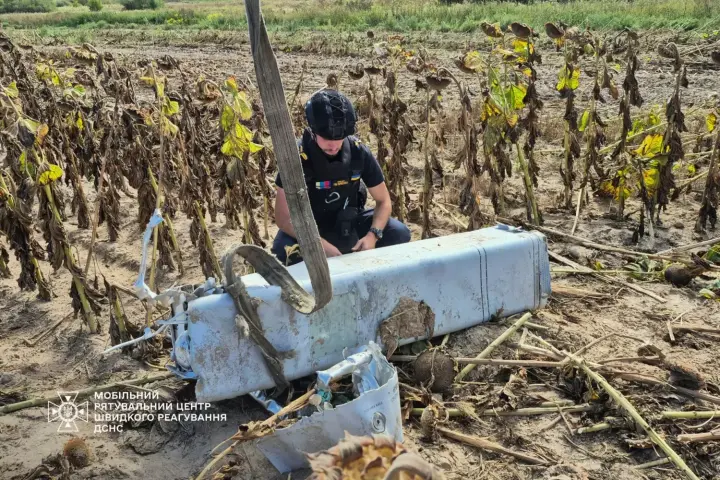 В Киевской области собирали урожай подсолнухов, а нашли ракету с боевой частью – ГСЧС