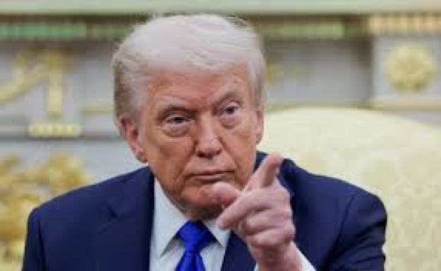 Трамп вводить мита на деревину: хто постраждає