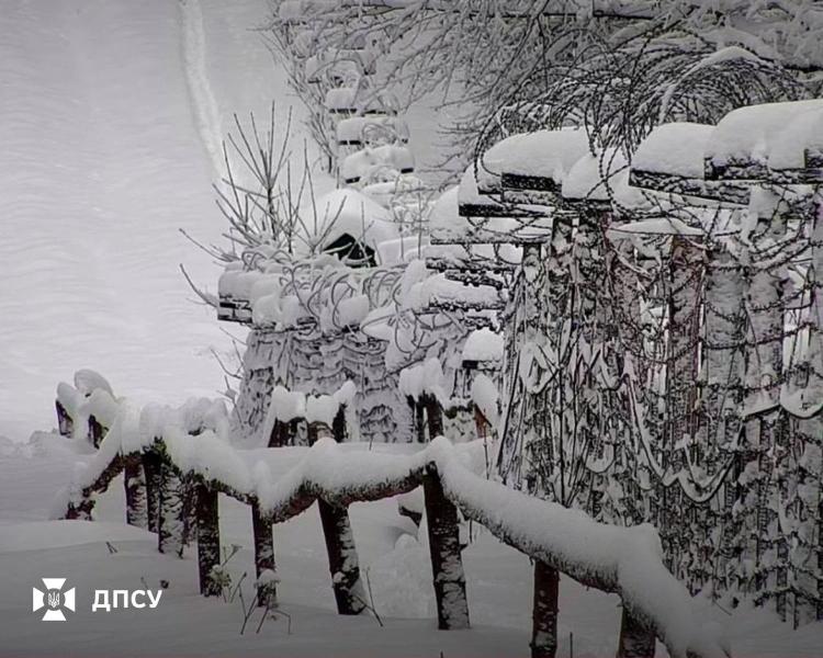 На Львовщине намело до полуметра снега: пограничники показали фото и дали советы туристам