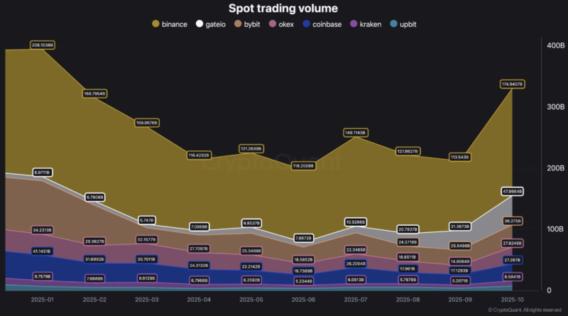 Обсяг спотової торгівлі біткоїном на Binance у жовтні сягнув $174 мільярди: що нового на крипторинку