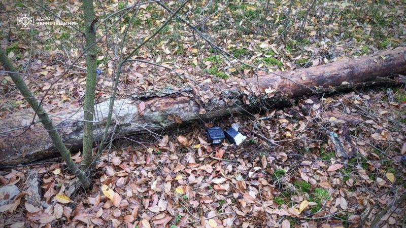 В Черниговской области взорвался сбитый дрон: пострадали двое подростков – ГСЧС