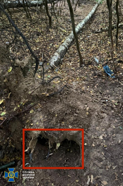 Новые доказательства по делу убийства Парубия: в тайнике найдено оружие со следами ДНК киллера и не только – СБУ