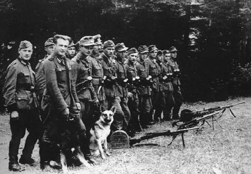 Украина отмечает День Вооруженных сил: история становления и современные традиции