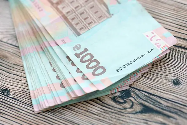 Зимова підтримка: Заявки на «тисячу Зеленського» подали 14 мільйонів українців