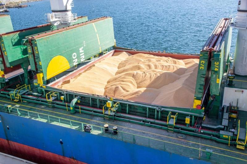 По украинскому морскому коридору перевезено 100 миллионов тонн зерна - Кулеба