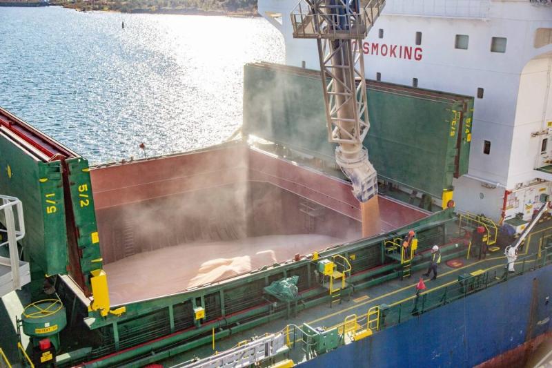 По украинскому морскому коридору перевезено 100 миллионов тонн зерна - Кулеба