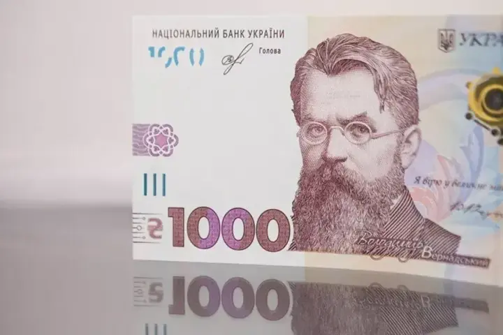 Украинцы потратили 11,3 млрд грн "зимней тысячи": чаще всего - на коммуналку, продукты, лекарства и донаты