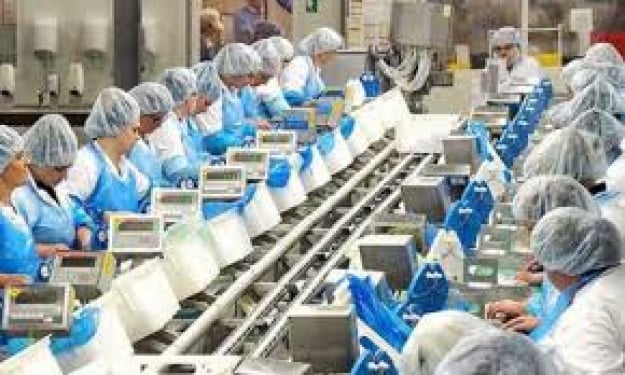 Польща нарощує найм іноземців: українців на ринку праці стало ще більше